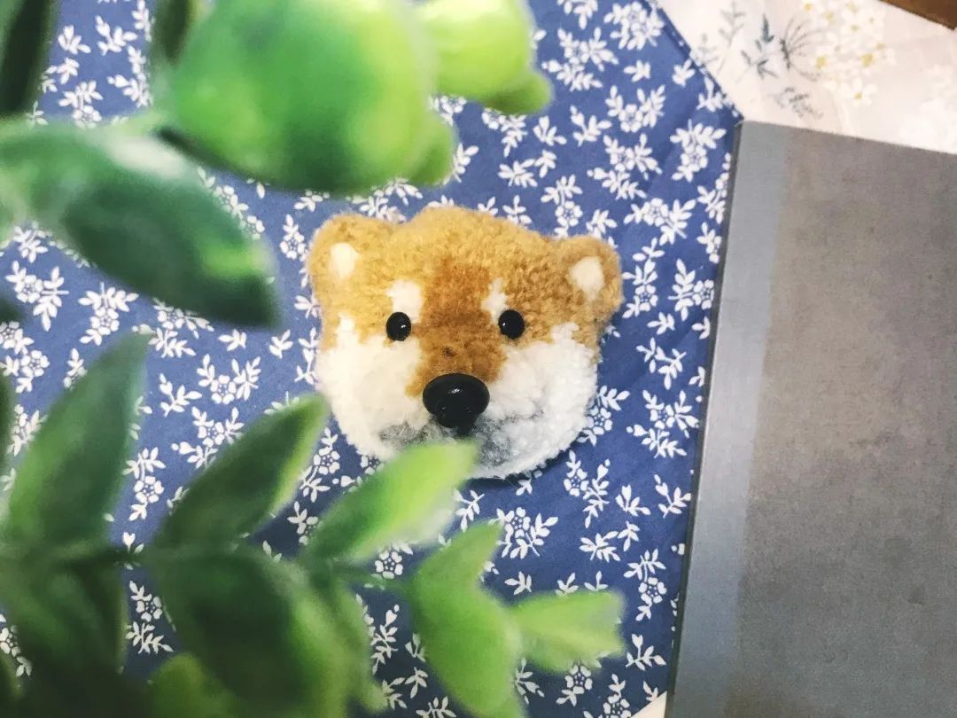 贵阳喷水池附近夜市在哪里,贵阳夜市小吃一条街喷水池