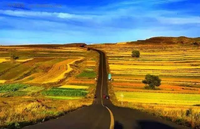 察哈尔醉牛,张北天路草原