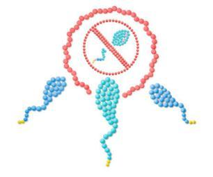 写给想生孩子的人,写给即将生孩子人的话