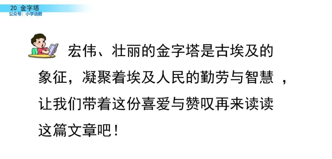 部编版五年级下册语文金字塔教案,语文书五年级下册第20课课后练习