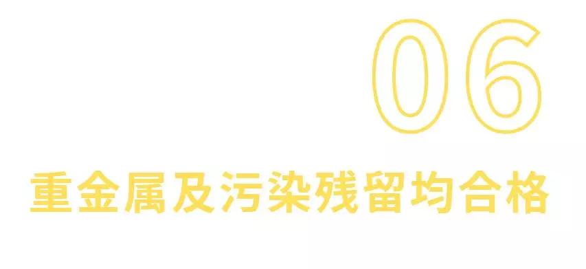 町芒测评,町芒评测豆浆粉