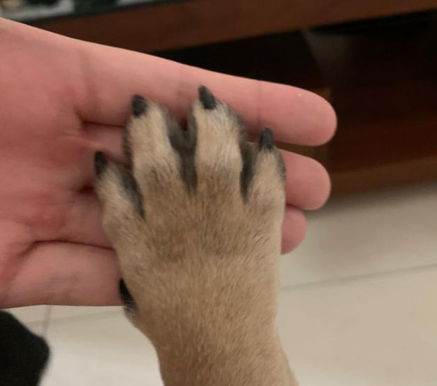 养猫人哭了 (朝九晚五适合养猫吗)