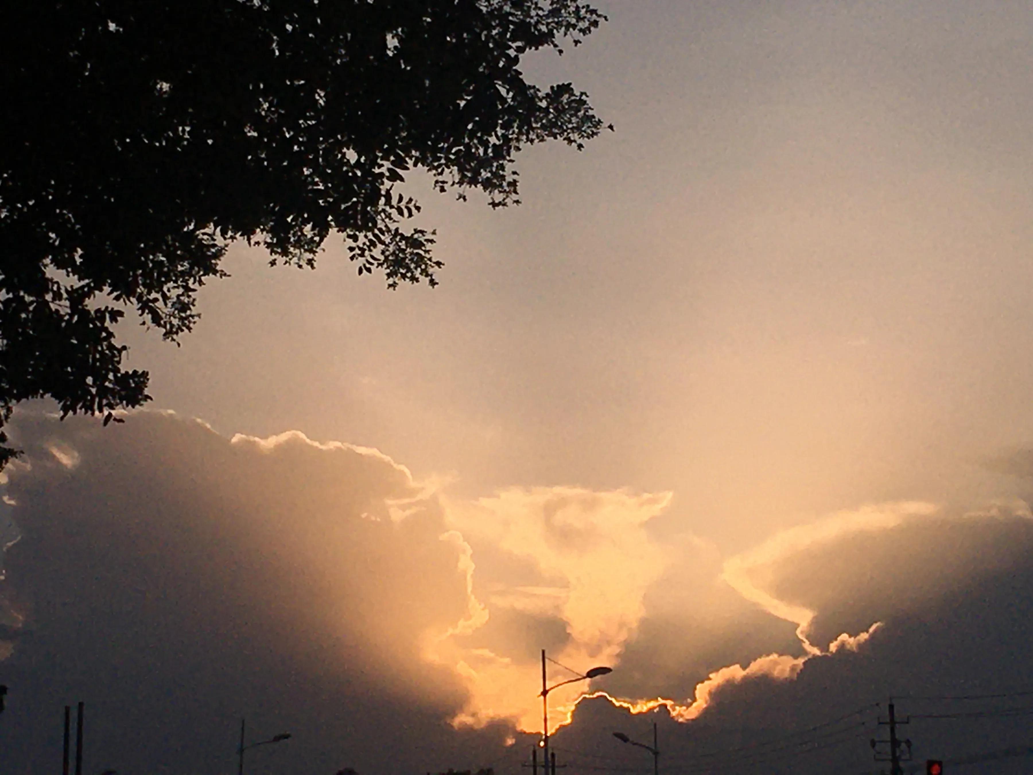 欧亨利最后的常春藤叶故事梗概,最后一片常春藤叶欧亨利结尾分析