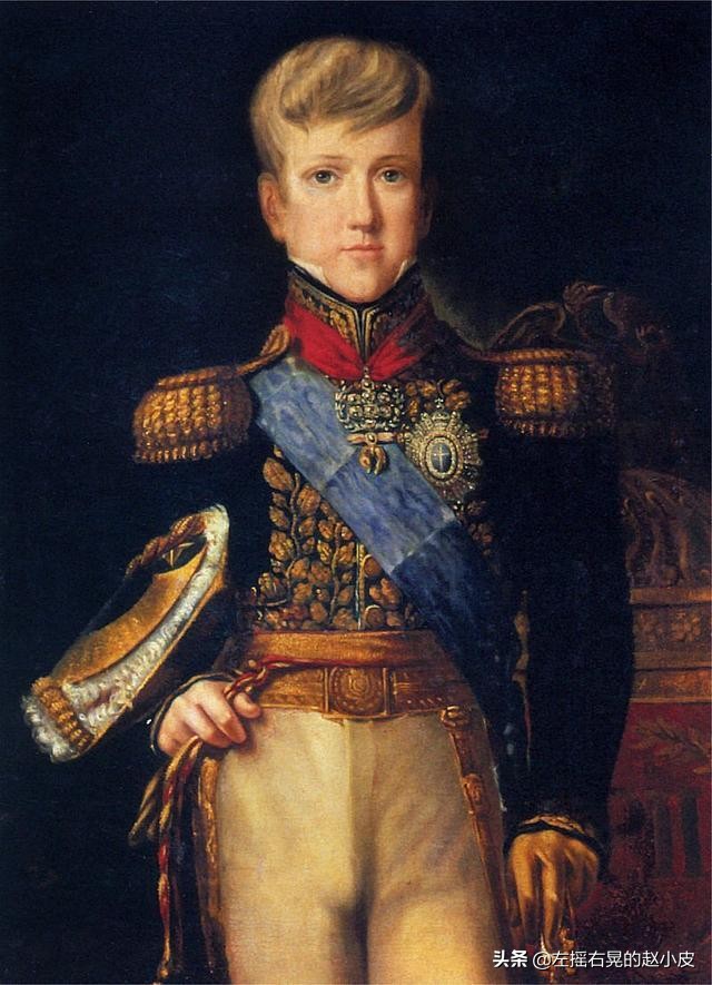 巴西帝国皇帝佩德罗二世,巴西帝国皇帝佩德罗心脏