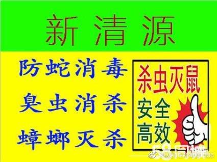 惠阳专业灭白蚁杀蟑螂除臭虫灭鼠公司