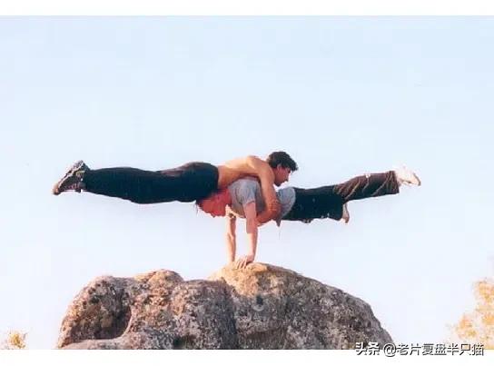 十部必看的经典电影战狼,战狼十大经典电影