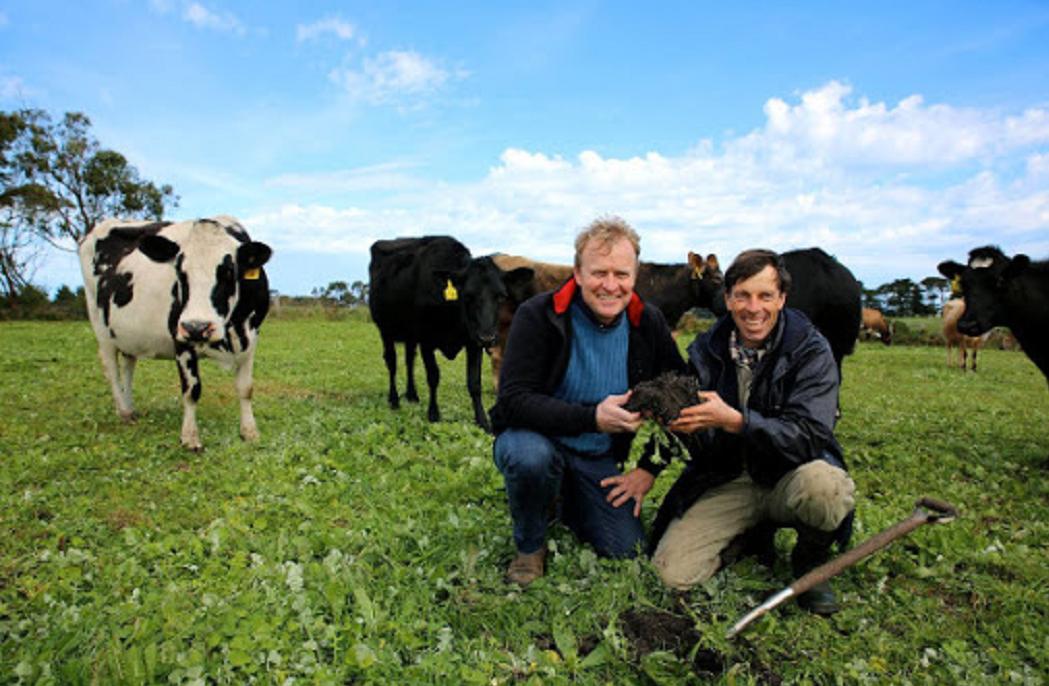 澳大利亚兔子成灾是怎么解决的,澳大利亚兔子成灾老梁纪录片