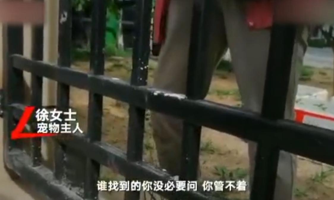 寻狗赠送北京一套房物业回应,寻狗赠房