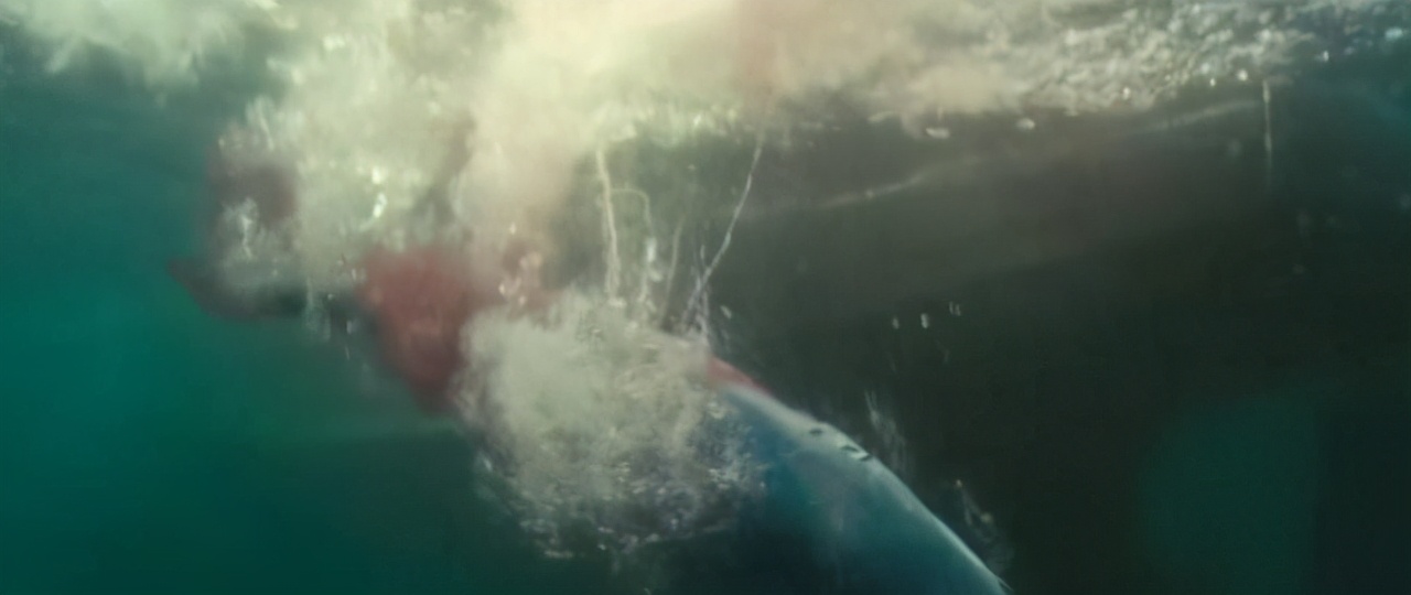 鱼翅是什么玩意儿,鱼翅是啥玩意儿