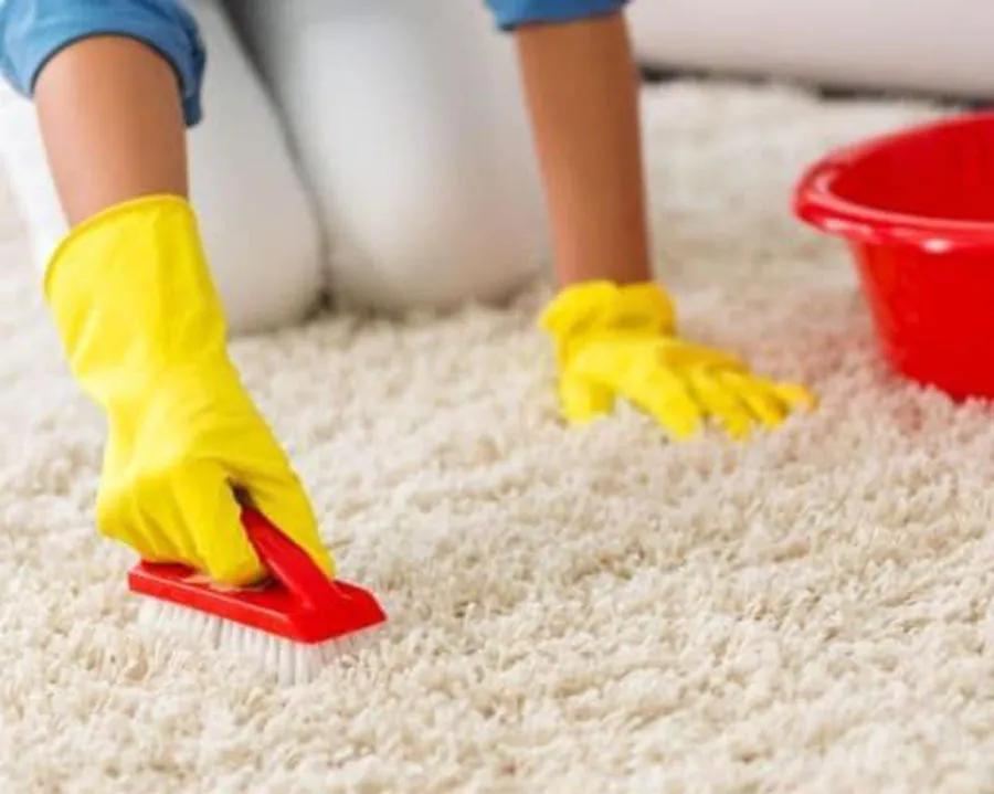 除甲醛排名第一的植物是绿萝吗,新房除甲醛是植物好还是活性炭好