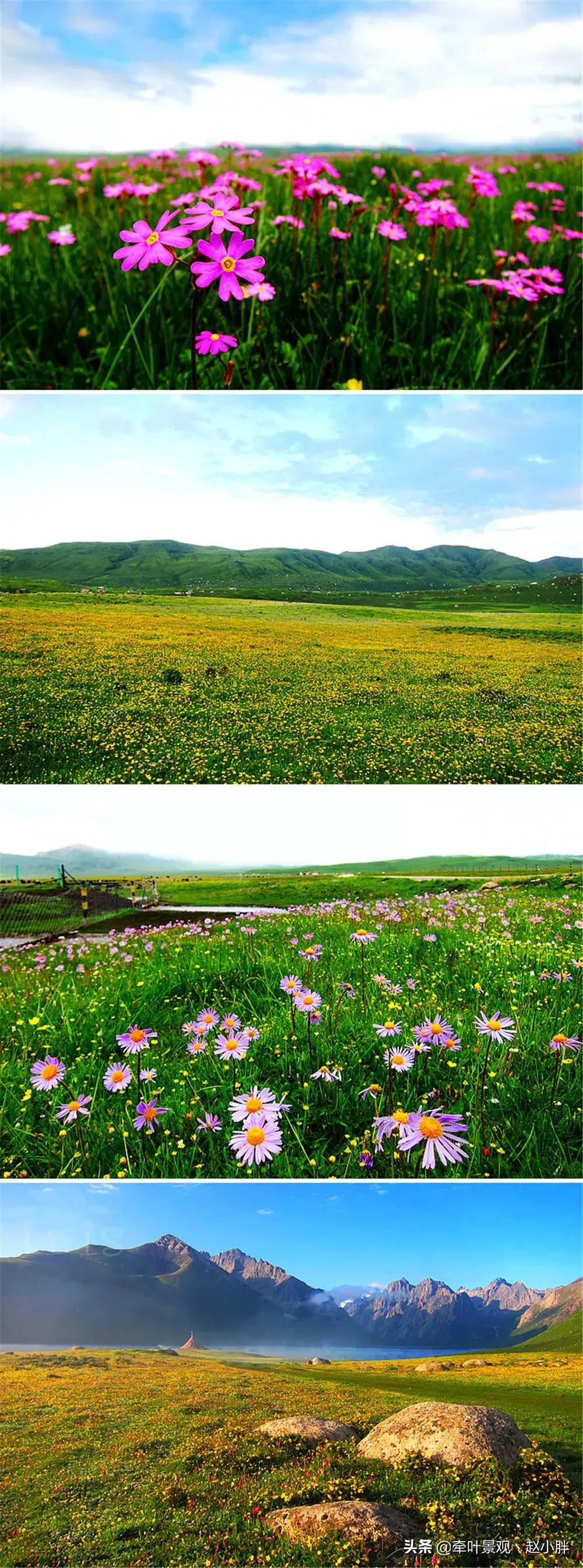 踏春寻美景,踏春赏花梯田漫步