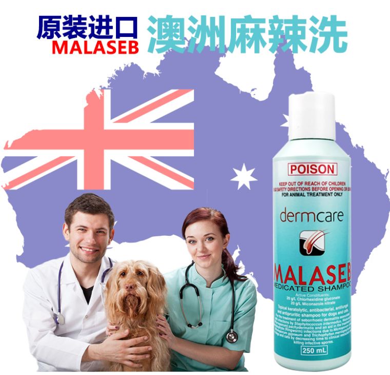 花少钱养好猫：经济方便的根治猫癣