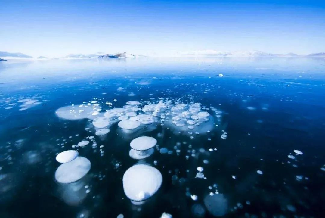 如果孩子回家说同学都烦她怎么办,孩子回来说讨厌老师怎么办