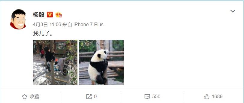 杨毅评价足球名记,体坛名记怒怼里皮完整版