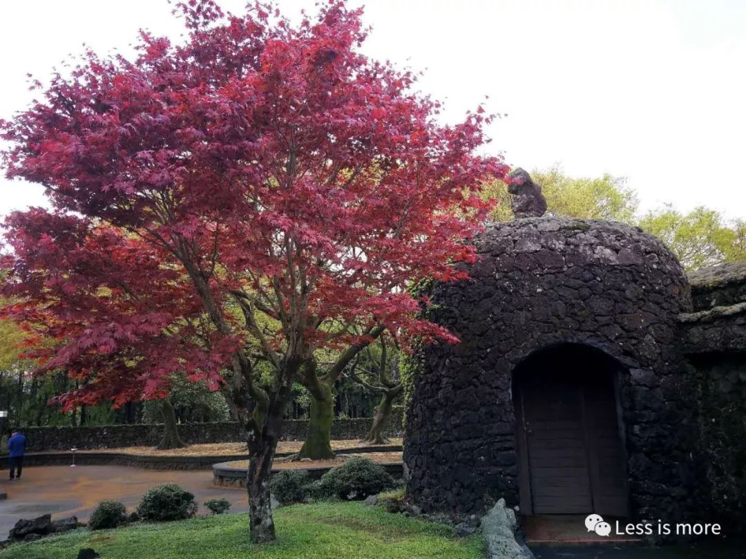 韩国济州岛超详细旅游规划攻略,韩国济州岛攻略自由行