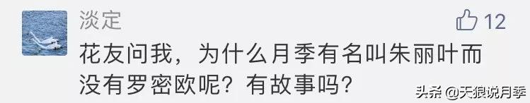 诗情与花意｜种花不识“奥切”仙，纵是花神也枉然