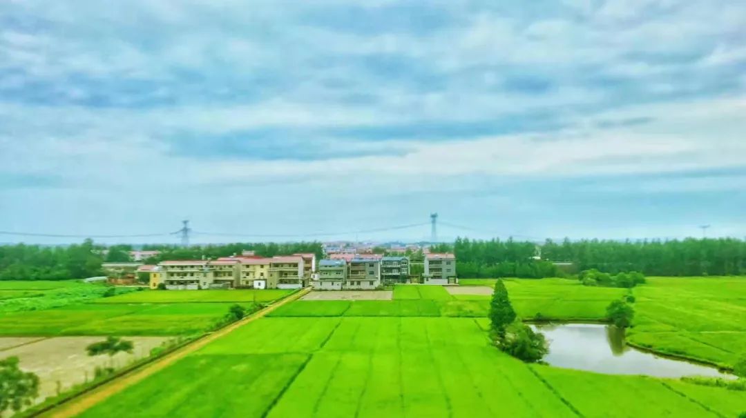 小李阿姨视频,小李阿姨生活视频