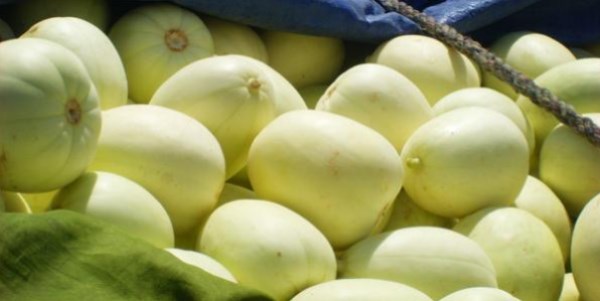 宁夏特色美食排行榜前十名,宁夏银川高档美食推荐