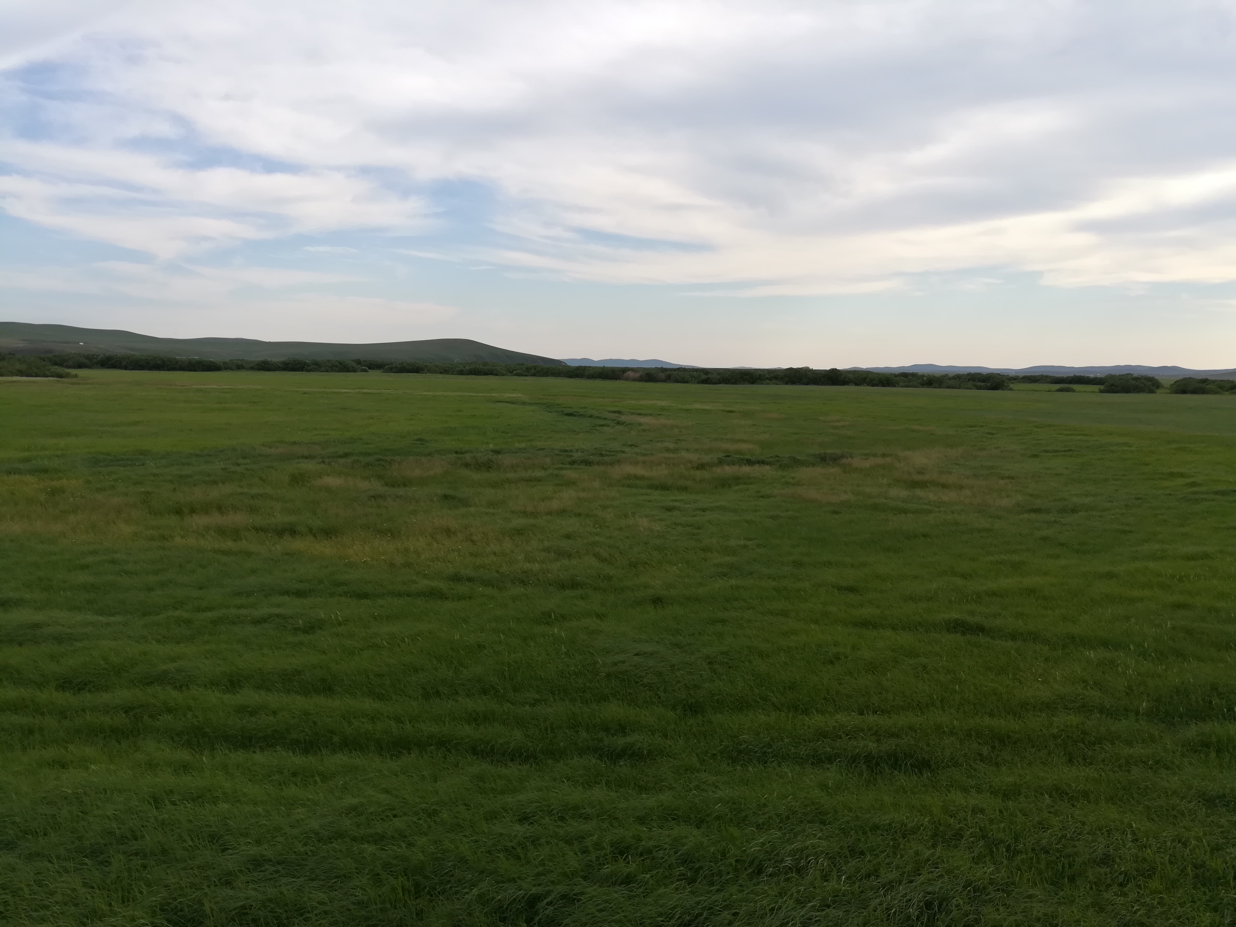 天边的草原乌拉盖抖音直播间,天边草原乌拉盖