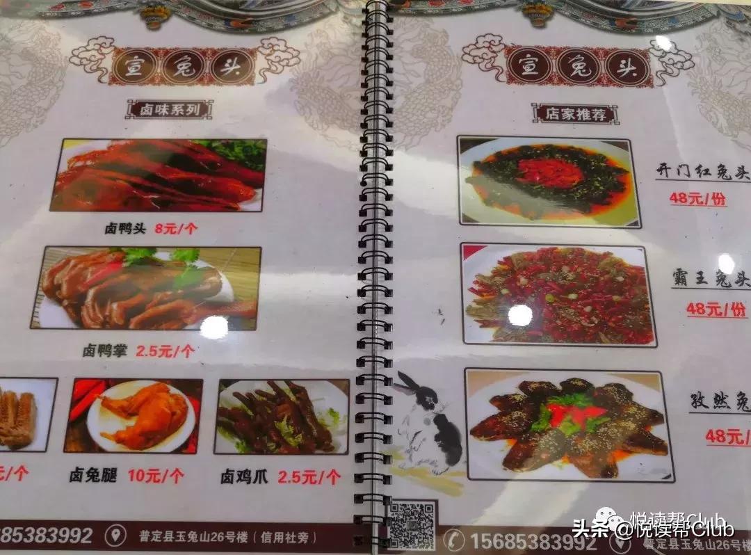 连成都人都赞不绝口的兔头空降安顺!这些兔兔还是安顺人自家养的