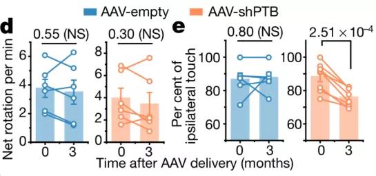 付向东神经元,付向东神经再生