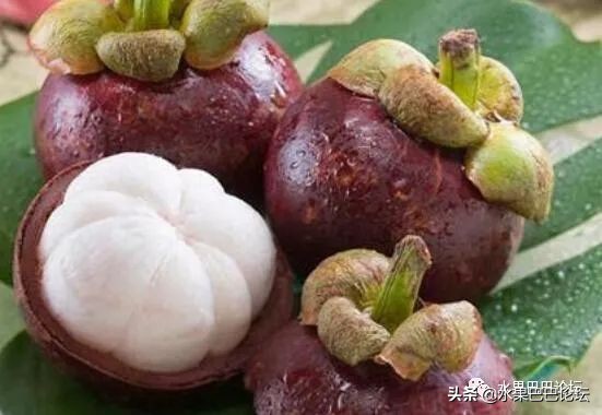 山竹选购秘籍挑选一颗完美的山竹,山竹怎么挑选教你山竹选购技巧