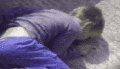 开心一刻gif下雨天,搞笑gif笑到肚子疼意外瞬间特辑