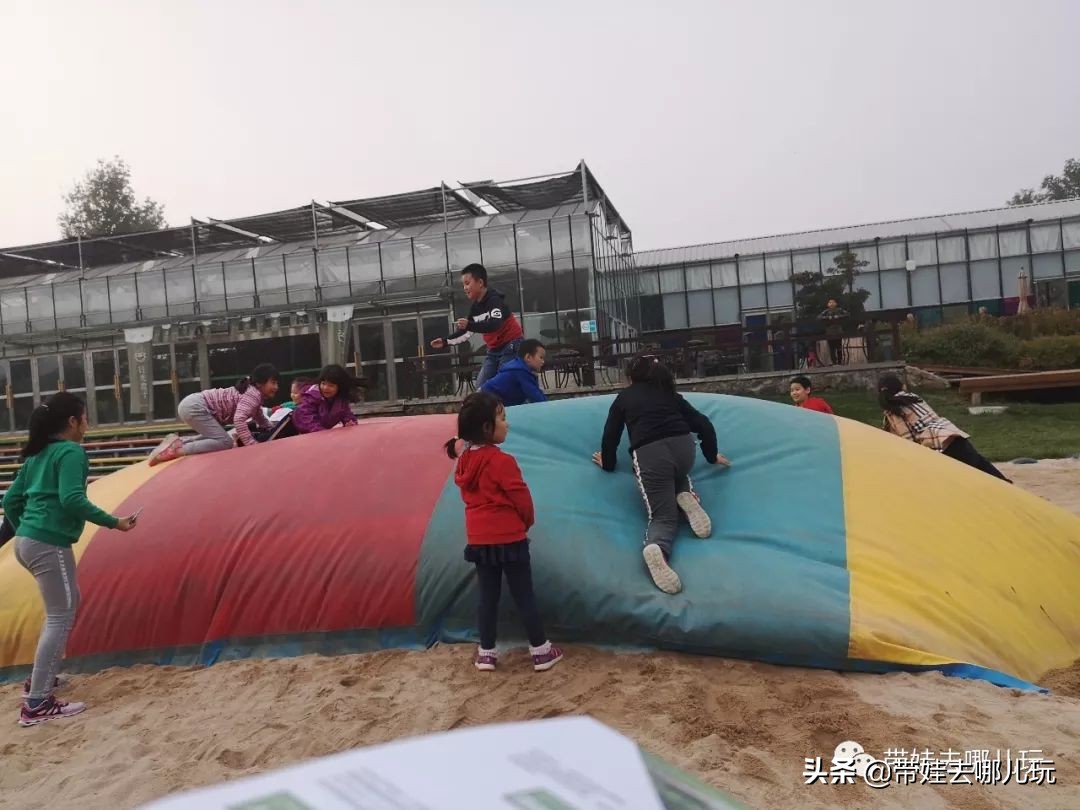 住别墅、滚草坪、躺在床上看电影，密云轻奢营地的花样玩法