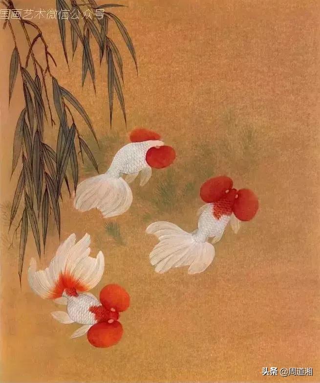 金鱼工笔画法图文教程你学会了吗,工笔画金鱼画法示范简单好学