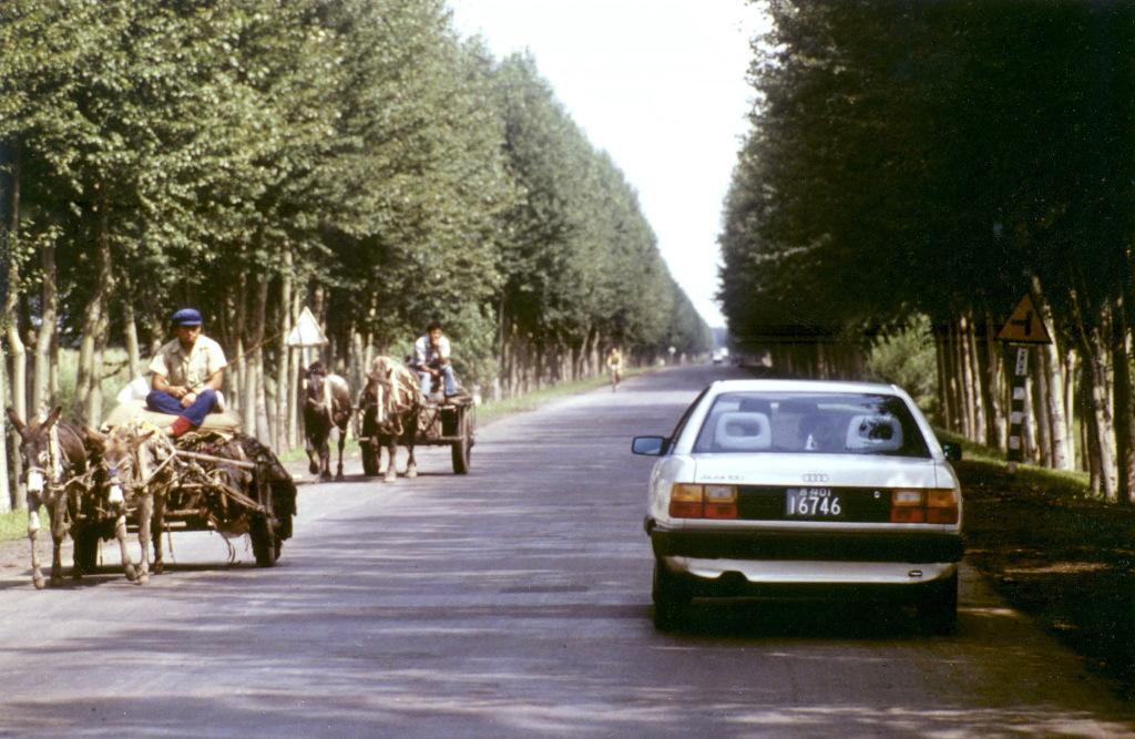 奥迪100这款车的介绍,奥迪100官车