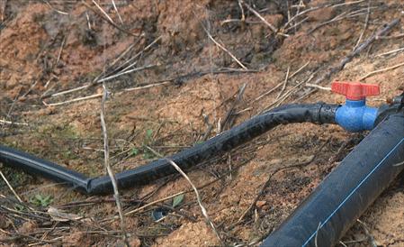 便民惠民!弥勒市第一家用水合作社这波操作太可以了!