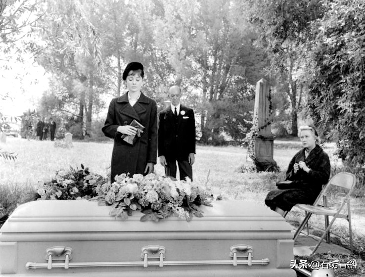 奥黛丽赫本最漂亮的电影,奥黛丽赫本主演的几部电影