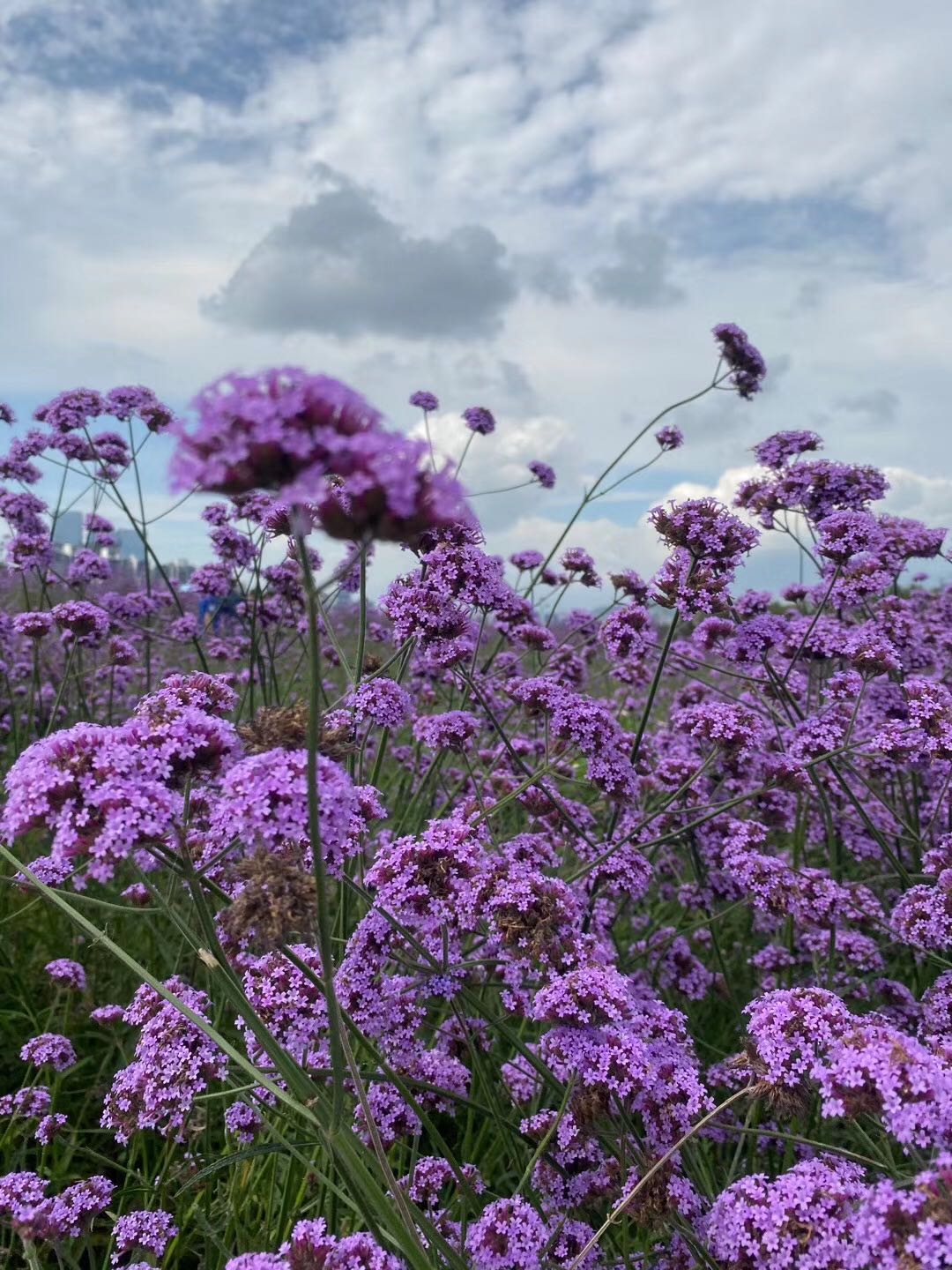 携快乐出发，邀幸福直达—自驾唐DM深圳至洛阳1500公里之旅
