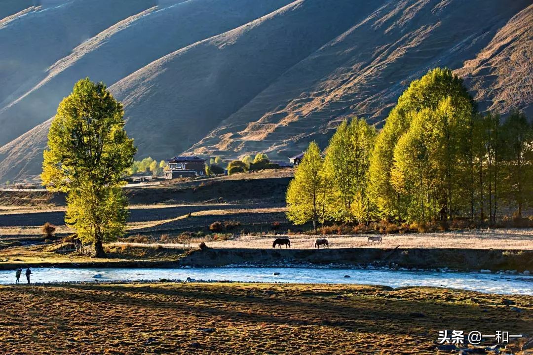 诺玛迪森穿越者川藏线,丰田穿越者进藏表现