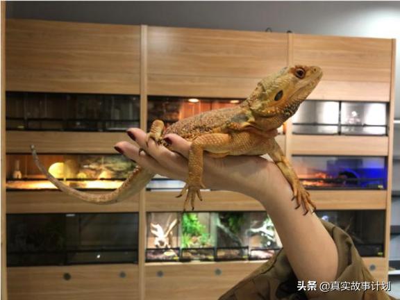 一年赚50到100万的好点子,一年赚100万的好点子