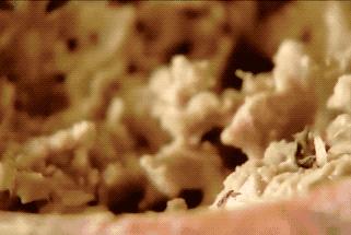 草莓饺子黑暗料理,乌冬面和彩虹饺子