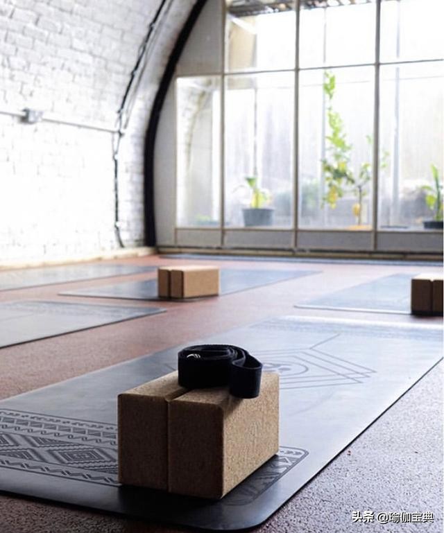 关于瑜伽的书籍瑜伽入门指南,瑜伽经典梵文100例