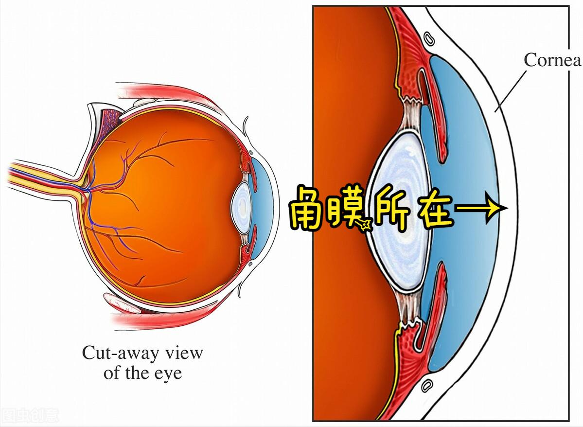 眼科角膜炎怎么治疗,角膜炎属于眼底病吗