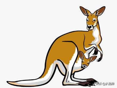 好看好用的袋鼠包,袋鼠同款包