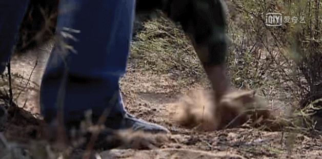 豆瓣9.3的国剧巅峰,国剧炸裂大场面