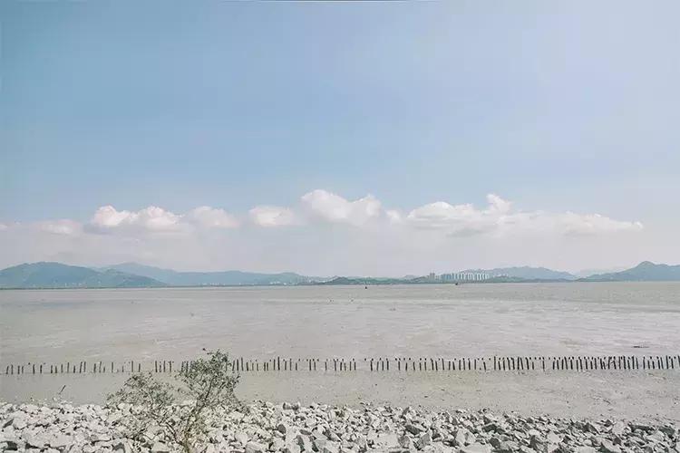 深圳海岸线高清图,深圳比较漂亮的海岸线