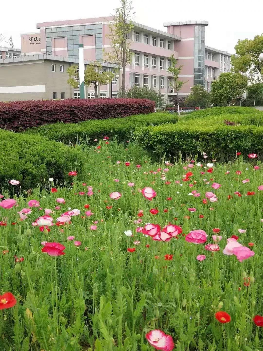 江苏财经大学,南京财经大学双非院校排名