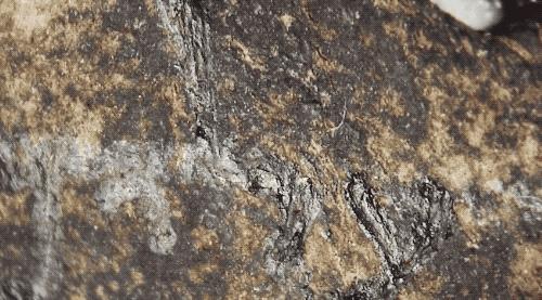 百万美金买的千年古籍实际才刚成年？现代打假技术太给力了