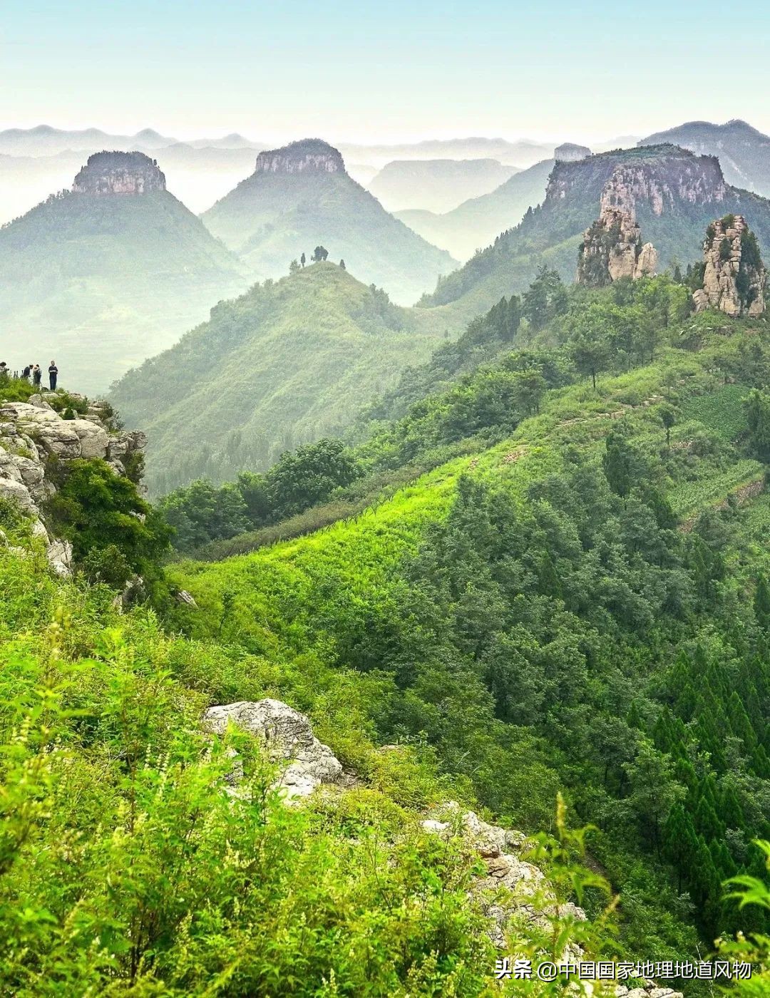 济南青岛临沂,青岛和临沂差距有多大