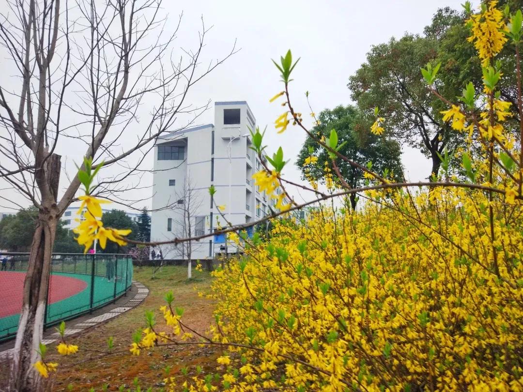 江苏省高校（五十一）南京航空航天大学金城学院