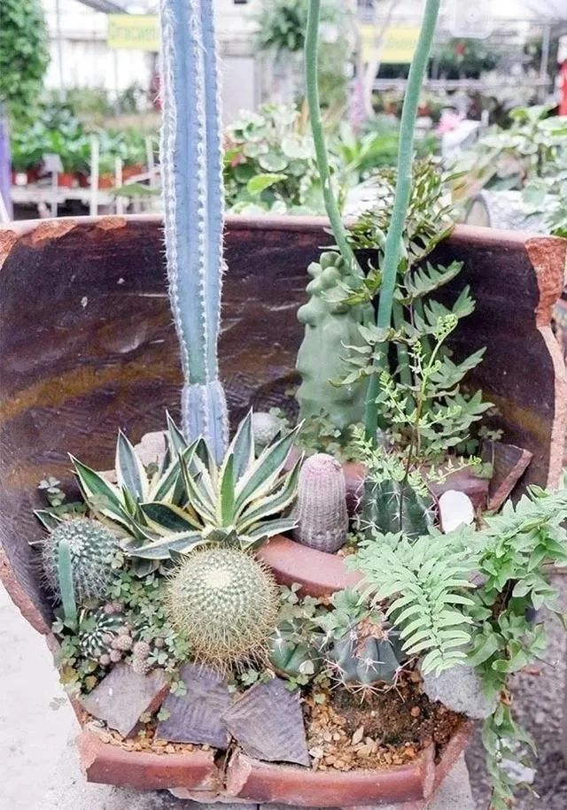 不小心打碎花盆有什么预兆,花盆打碎了能做什么