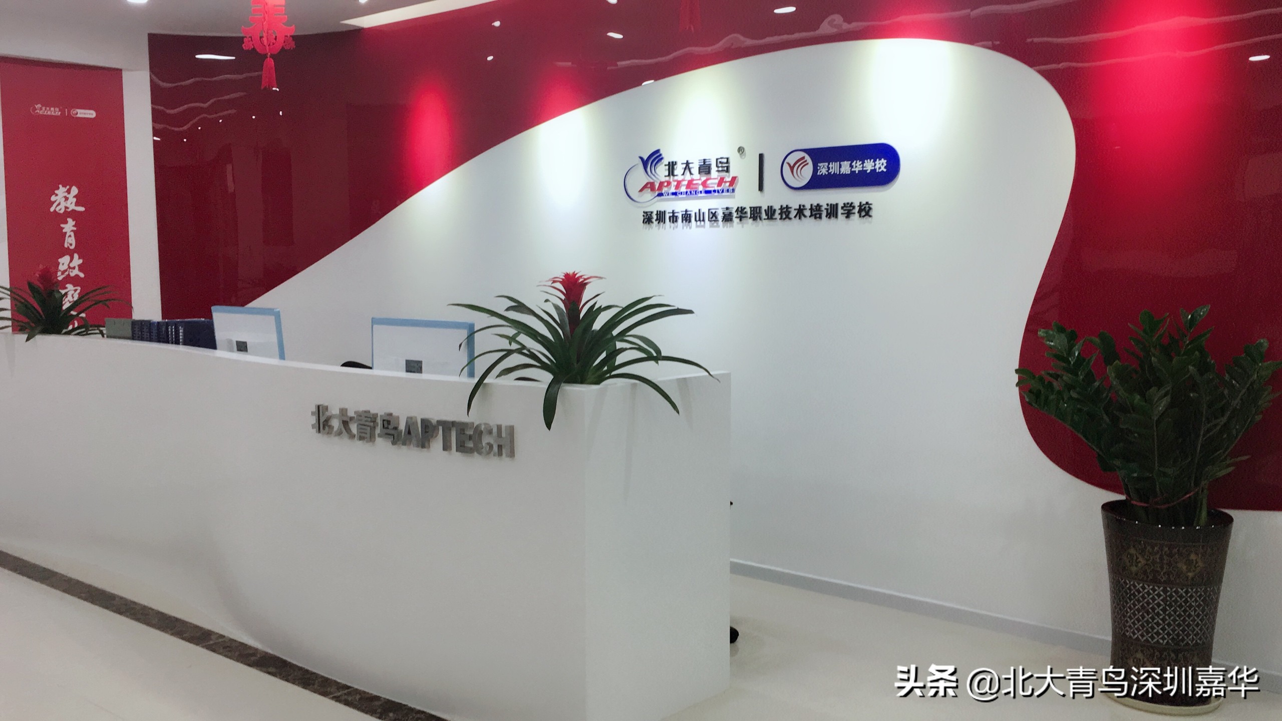 北大青鸟软件工程师培训学校,北大青鸟学校13岁可以去吗