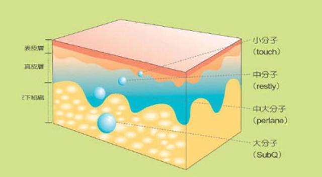 玻尿酸胶原蛋白的功效与作用,玻尿酸的功效医美