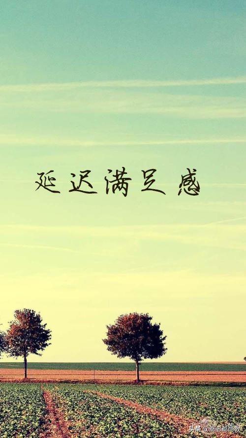 球王之殇,马拉多纳职业之路