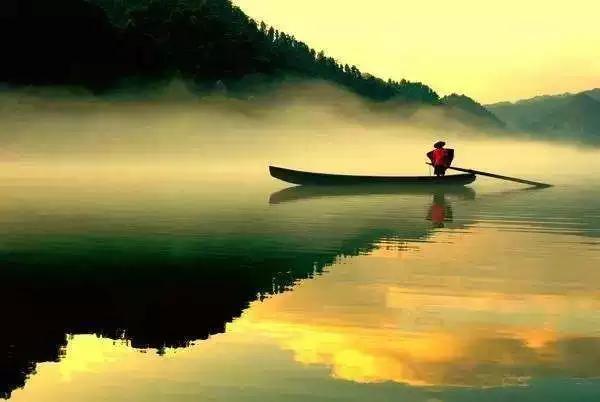 叶天士处方,叶天士的升阳益胃汤的处方